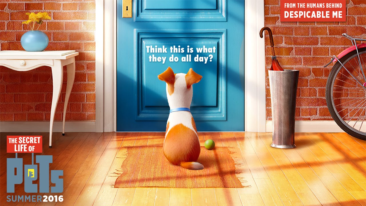 The secret life of pets – al cinema!
